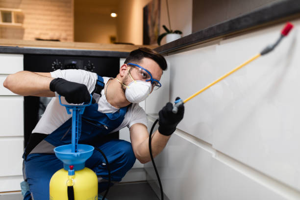 Best Local Pest Control Services  in Carleton, MI