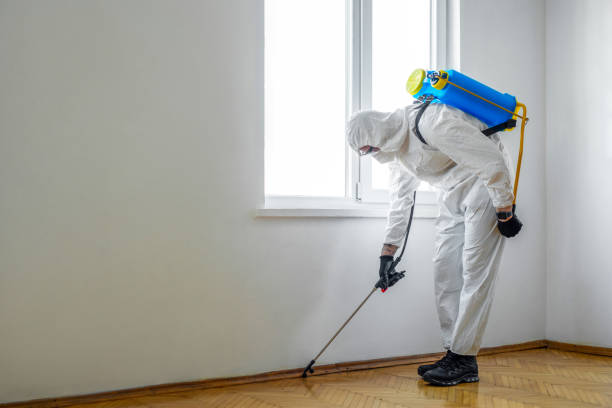 Best Local Pest Control Services  in Carleton, MI