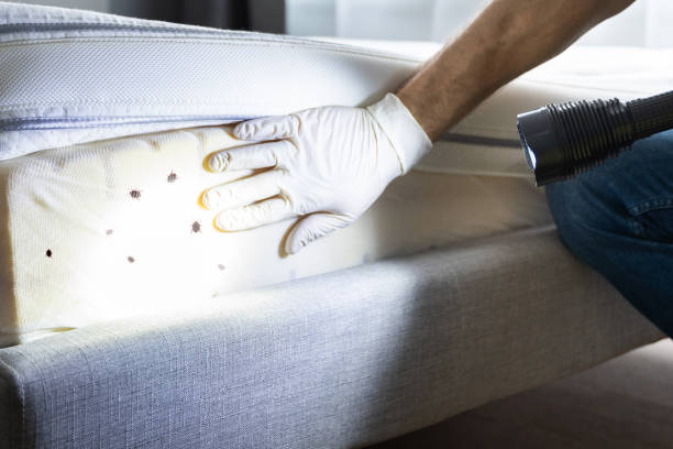 Best Mosquito Control Services  in Carleton, MI