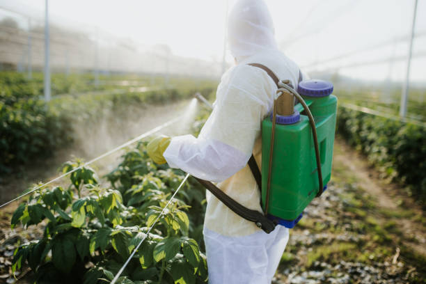 Reliable Carleton, MI Pest Control Solutions